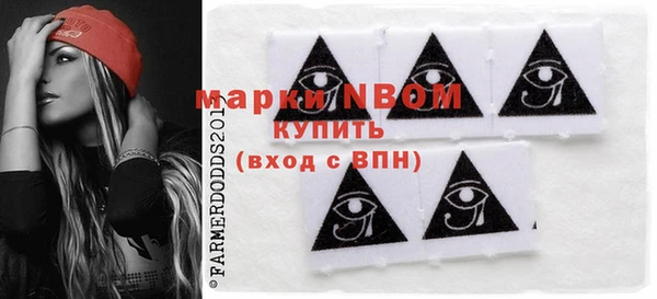 СК Алексин