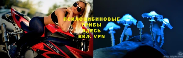 спайс Алзамай