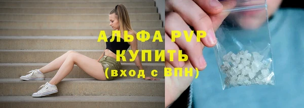 СК Алексин
