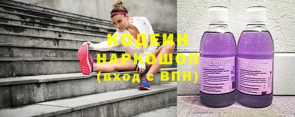 тгк Инсар