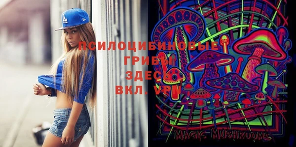 спайс Алзамай