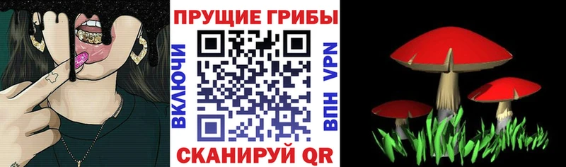 Галлюциногенные грибы Magic Shrooms  магазин продажи наркотиков  Углич 