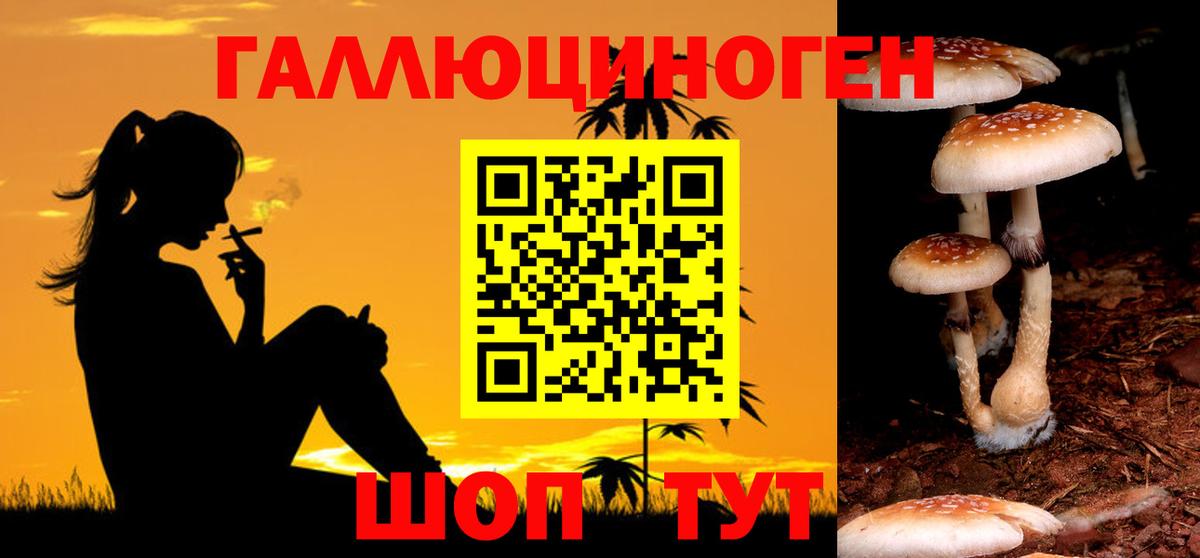 Галлюциногенные грибы ЛСД Углич